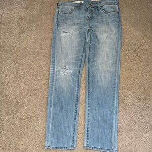 Anthropologie Pilcro and the Letterpress Hyphen Denim straight Jeans
